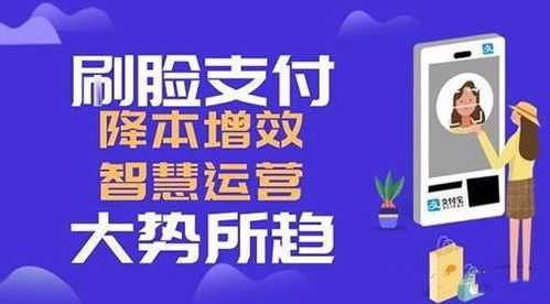云趣付与点佰趣分润系统解析 打造高效支付生态的智能工具